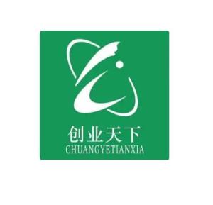 西安創業天下網絡科技